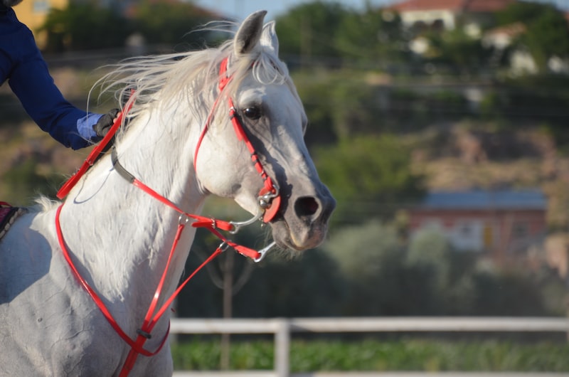 Spor Dünyasındaki Eşitsizlik ve Cinsiyet Roller Spor Dünyasındaki Eşitsizlik ve Cinsiyet Roller